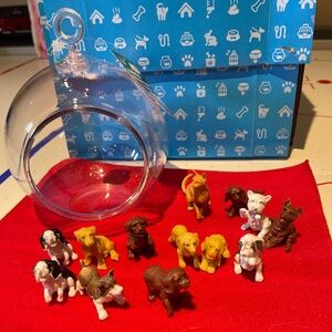 DIY 🪴terrarium kit with 🐶🐾puppies!!